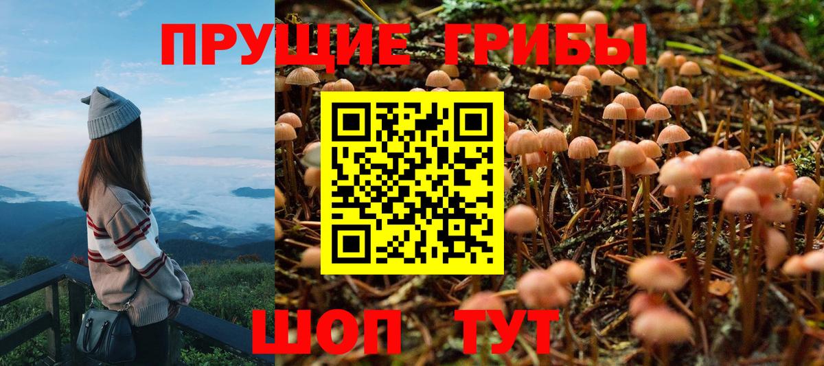 Геленджик  Псилоцибиновые грибы ЛСД  Вход с VPN 